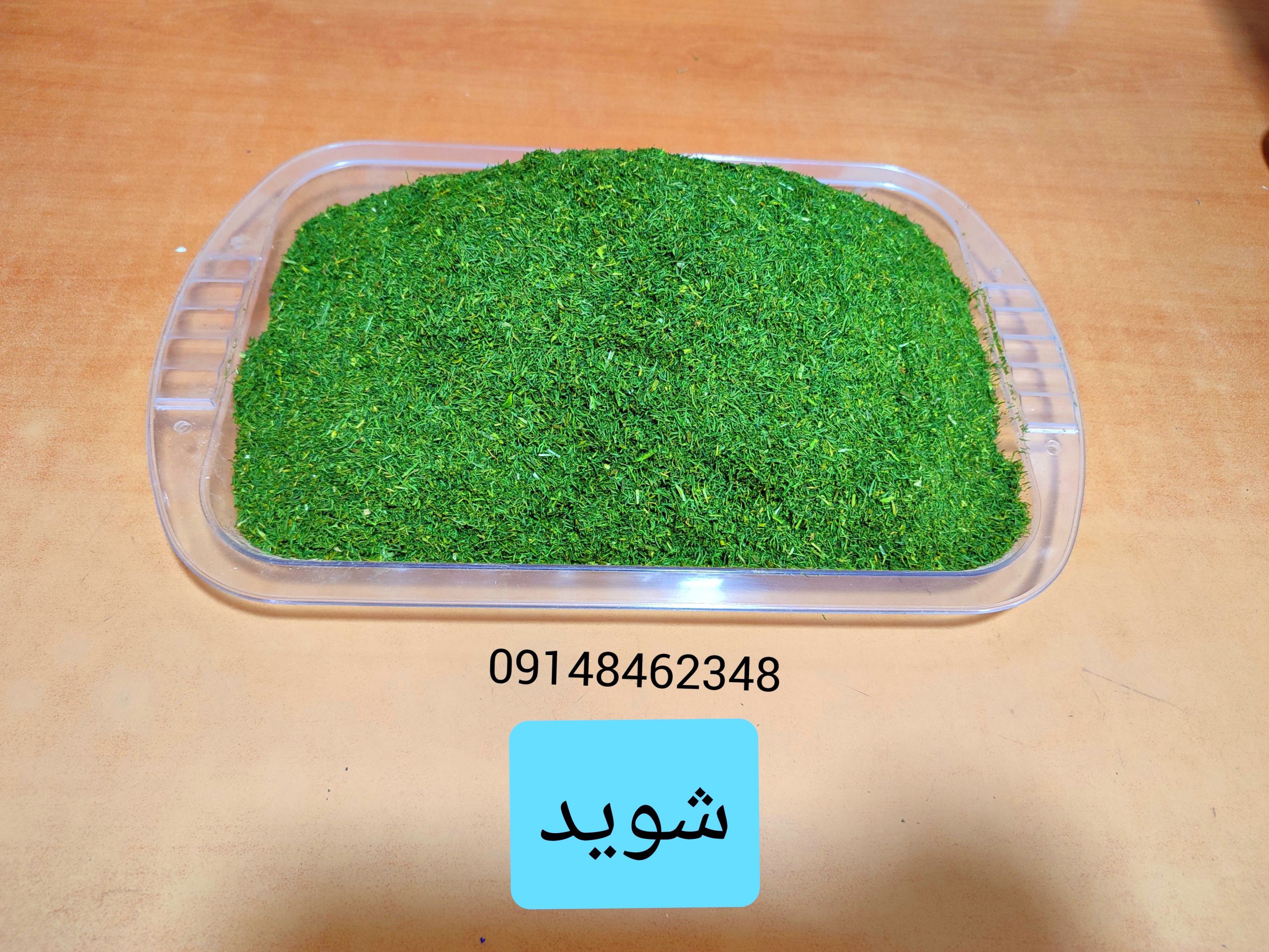 شوید خشک اعلا ـ ۱۰۰ گرم